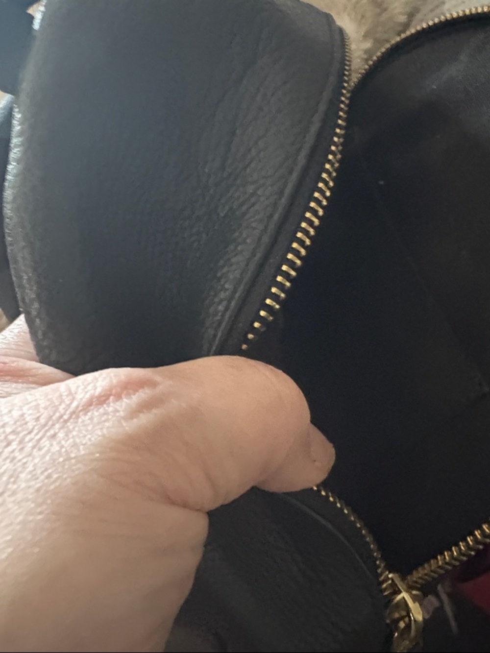 Coach - Charlie - Mini Backpack - Picture 3 of 3